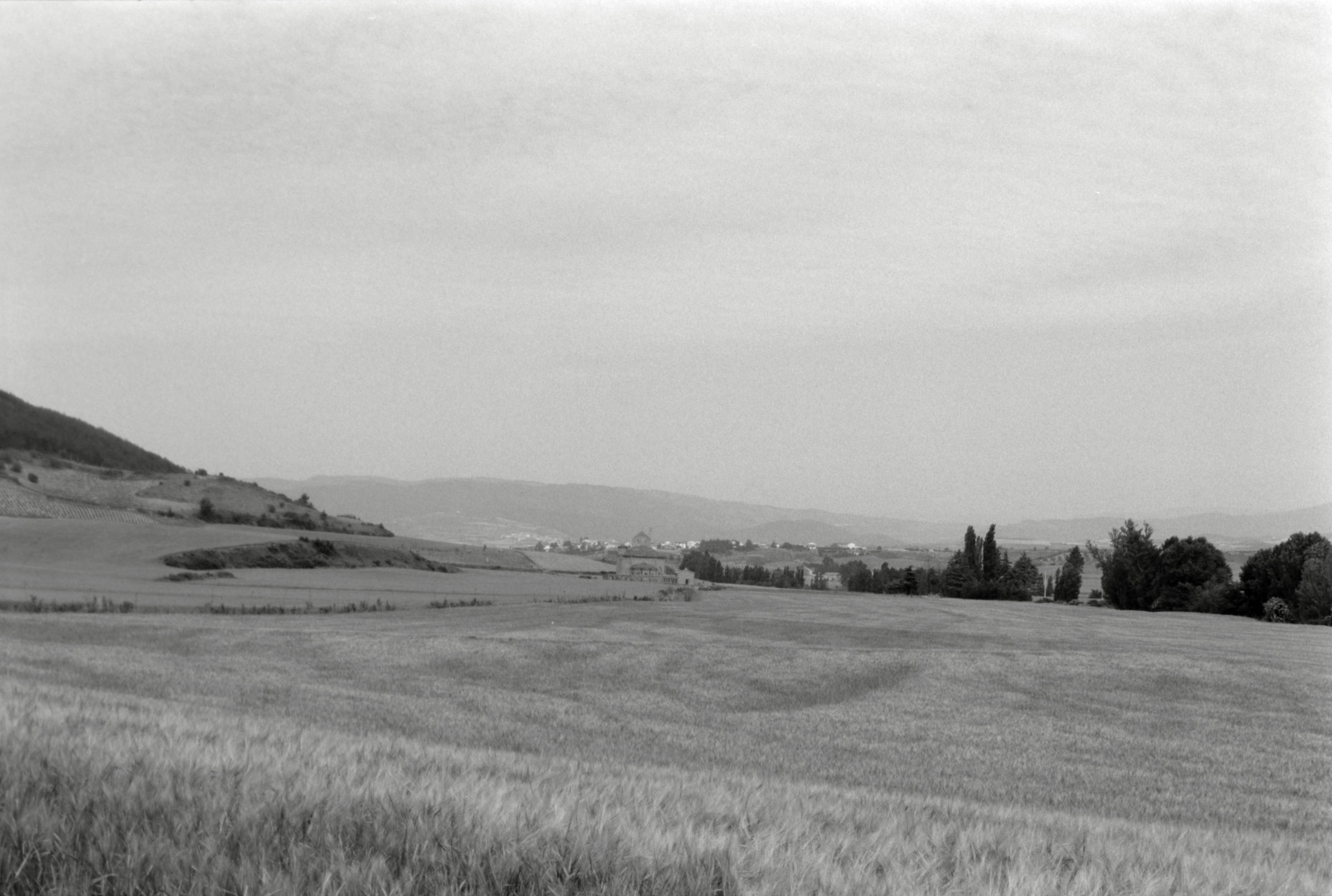 AHP F1995 05 006 sc240818 img06 NLP